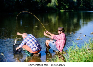 Black Market Caviar. Illegal Hunting Caviar. Extracts Eggs From Sturgeon Caught River. Poaching Crime And Fishing License. Poachers Fishing. Trap For Fish. Men Sit At Riverside With Fishing Equipment.