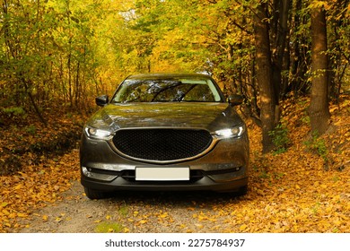 Black modern car parked in beautiful autumn forest - Powered by Shutterstock