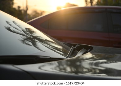 Black Modern Car Road Trip Travel In The Morning With Palm Tree Reflection In Windshield