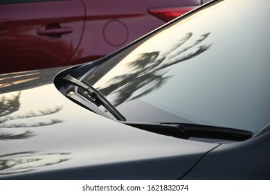 Black Modern Car Road Trip Travel In The Morning With Palm Tree Reflection In Windshield