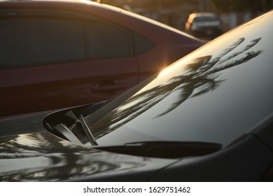 Black Modern Car Road Trip Travel In The Morning With Palm Tree Reflection In Windshield