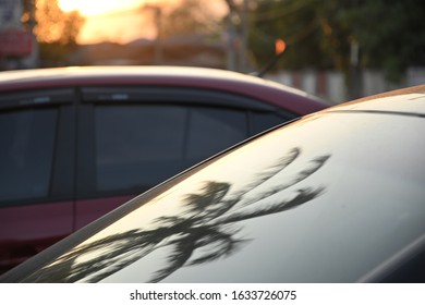 Black Modern Car Road Trip Travel In The Morning With Palm Tree Reflection In Windshield