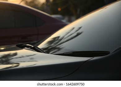 Black Modern Car Road Trip Travel In The Morning With Palm Tree Reflection In Windshield