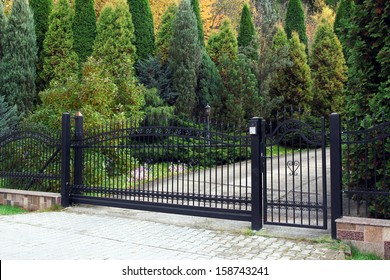 black modern gate and green garden