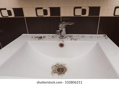 Black Mold Damage To Bathroom