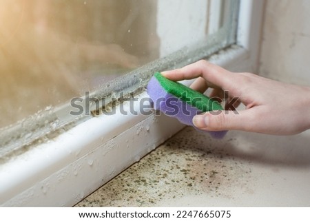 Black mold fungus growing on windowsill. Dampness problem concept. Condensation on the window. 商業照片 © 