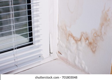 Black Mold Fungus Grows In The Living Room Near The Window, The Walls And Ceiling Are Covered With Mold. Poorly Installed Windows, Rainwater Penetrates Into The Room . - Image       