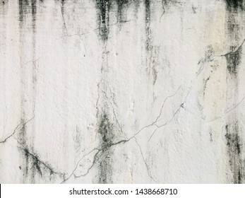 Black Mold, Fungus On A White Wall Background, Bacteria On White Surface