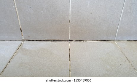 Dirty Tile Grout Images Stock Photos Vectors Shutterstock