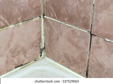 Black Mold Growing On Shower Grouted Joints Tile In Bathroom Wall Corner