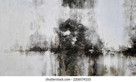 black mold indicating damp on outside white cement wall. - Shutterstock ID 2206574153