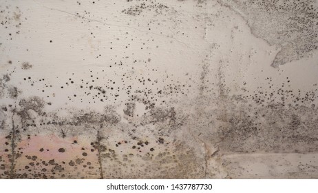 Imagenes Fotos De Stock Y Vectores Sobre Condensation On