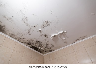 Black mold and mildew spots on the ceiling or wall due to poor air ventilation and high humidity. Harm to health.