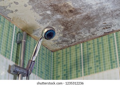 Imagenes Fotos De Stock Y Vectores Sobre Wet Ceiling Tile