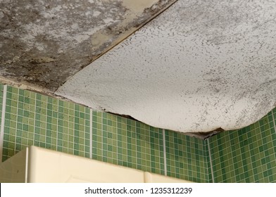 Imagenes Fotos De Stock Y Vectores Sobre Wet Ceiling Tile