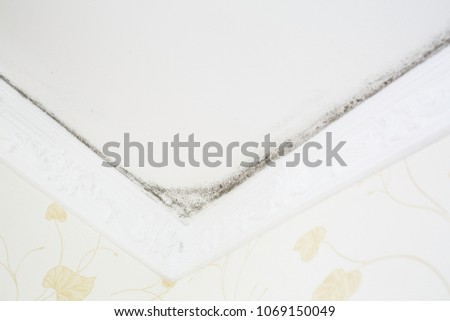 Black Mold On Ceiling Room Ceiling Stock Photo Edit Now