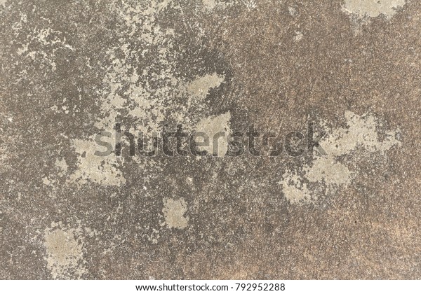 Black Mold On Cement Floor Stock Photo Edit Now 792952288