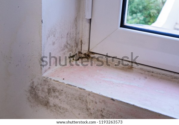 Black Mold On White Window Sill Stock Photo Edit Now 1193263573