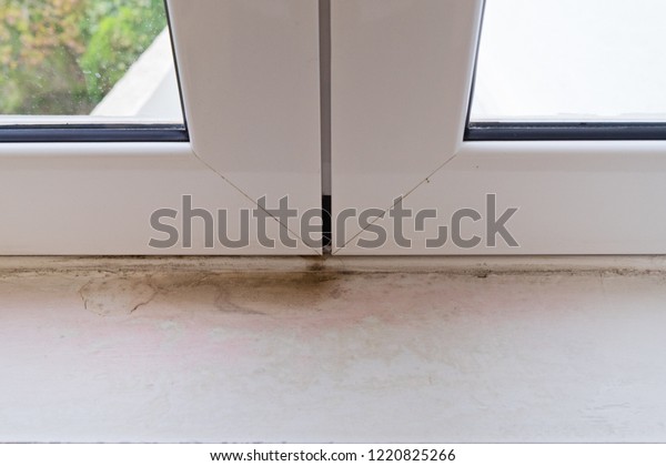 Black Mold On White Window Sill Stock Photo Edit Now 1220825266