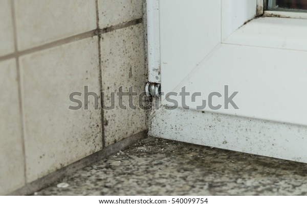 Black Mold On Window Sill Stock Photo Edit Now 540099754