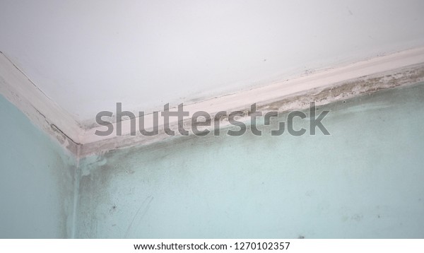 Black Mold Room Wall Stock Photo Edit Now 1270102357