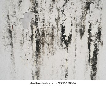 Black mold or black stains on concrete surface. Weathered peeling white painted cement wall background and texture. (close up, space for text)