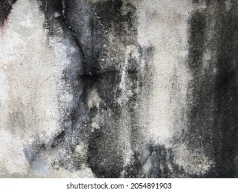 Black mold or black stains on concrete surface. Black and white weathered cement wall for background and texture. (close up, space for text)