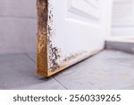 Black mold stains on the door of bathroom,dirty black deep stains,drying mark,stubborn stains of fungus,bacteria on uPVC door in toilet at home,cleaning problems,housekeeping,house maintenance concept