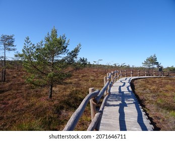 Black Moor In Fladungen Germany