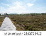 Black moor in the Rhoen, Bavaria, Germany, in summer  with Heather and  a new moor path