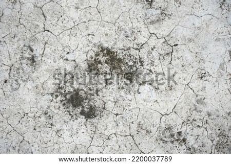 black moss or mold on old concrete floor, texture of cracked cement floor with dirty stain pattern 