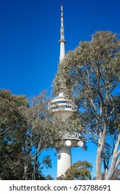 Black Mountain, Canberra