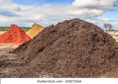 Black Mulch Or Wood Chip Mound: Mound Of Black Mulch Or Wood Chips Use For Landscaping Top Ground Material And Accents.