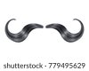 curly mustache