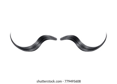 Black Mustache Isolated On White