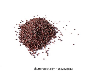 Black Mustard Seed Isolated On White Background With Copy Space For Texts Writing