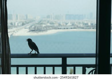 A black myna bird perched on a balcony railing, overlooking a hazy city skyline and a calm waterside. Background features modern buildings and a bridge crossing the water. - Powered by Shutterstock