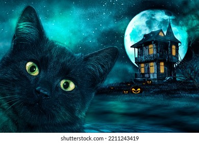 Black mystical witch cat. Halloween background, wallpaper, poster.
