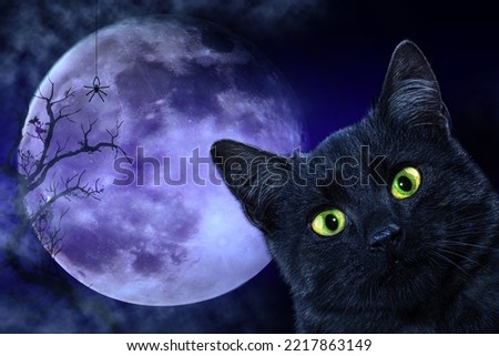 Black mystical witch cat. Halloween background, wallpaper, poster.