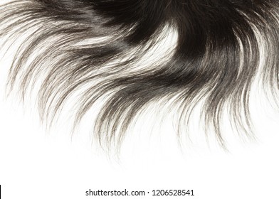 Black Natural Straight Human Hair Toupee Wigs
