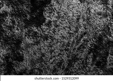 Black Natural Wool Texture Background Seamless Stock Photo 1529312099 ...