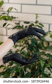 Black Nitrile Gloves On Hands