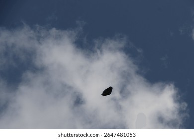 black objects flying in the sky. Plastic is blown away by the wind