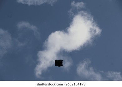 black objects flying in the sky. Plastic is blown away by the wind