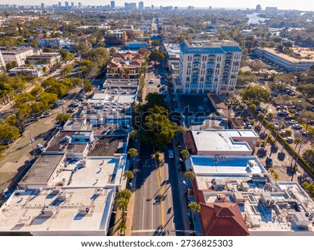 Black Olive trees lining Las Olas Boulevard in Fort Lauderdale 2026
