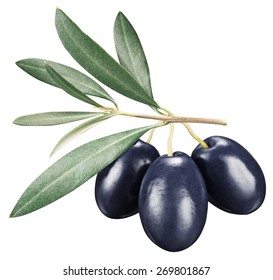 Black Olives Leaves On White Background Stock Photo 269801867 ...