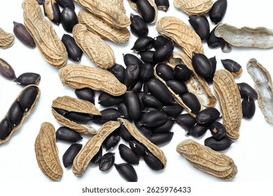 Черный арахис (Arachis hypogaea «Черный») стручки и семена