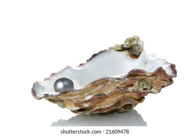 Black Pearl In An Oyster Shell, Isolated On A White Background With Reflection.