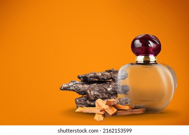 Black Perfume Bottle With Wood And Moss. Natural Perfumes, Woody Scents In Men's Perfume.