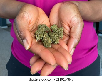 A Black Person Holding Cannabis Plant Buds In Their Hands